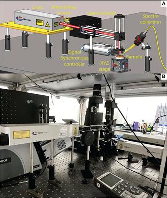 Laser-induced breakdown spectroscopy instrument and spectral analysis for deep-ocean Fe-Mn crusts